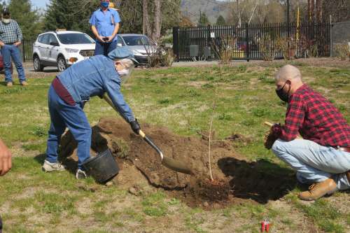 Urban forester Tony Mecum and Hideko Tamura Snider
